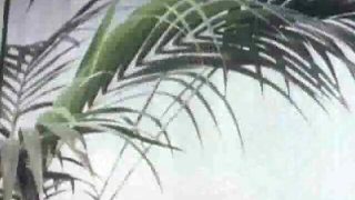 Gay stroking in retro porn